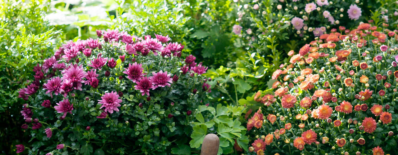 Herbstgarten, Pflanzenfreude.de Pflanzenfreude.de Classic style gardens