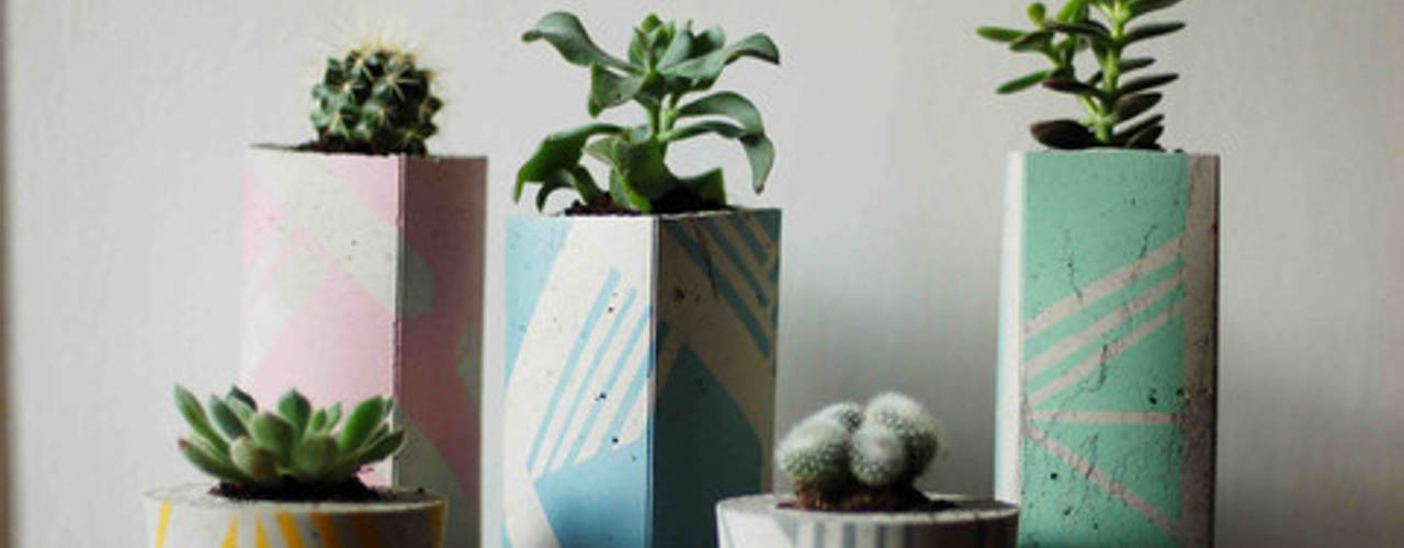 Dust Acessories, Dust Dust Jardines de estilo moderno