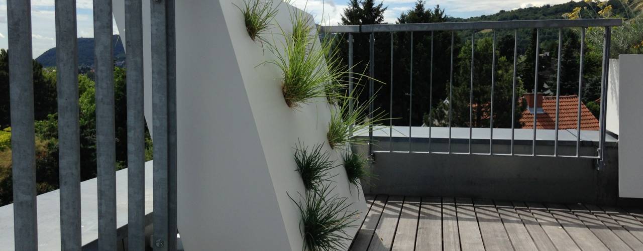 steppe, neubert und fuchs_gartenabteilung neubert und fuchs_gartenabteilung Modern style balcony, porch & terrace