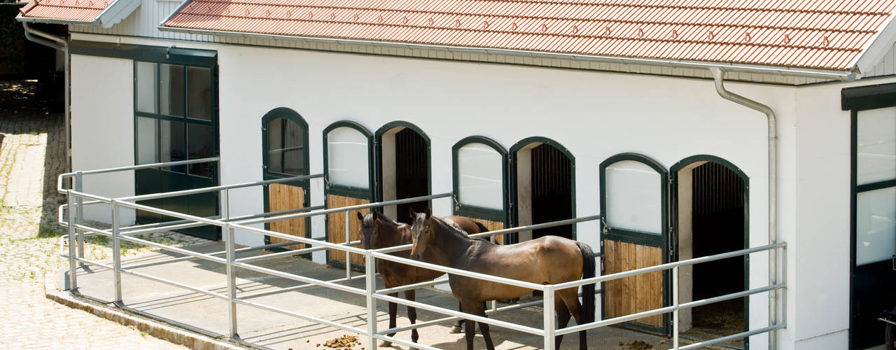 Einfamilienhaus in Laxenburg, WUNSCHHAUS WUNSCHHAUS Garajes y galpones de estilo mediterráneo