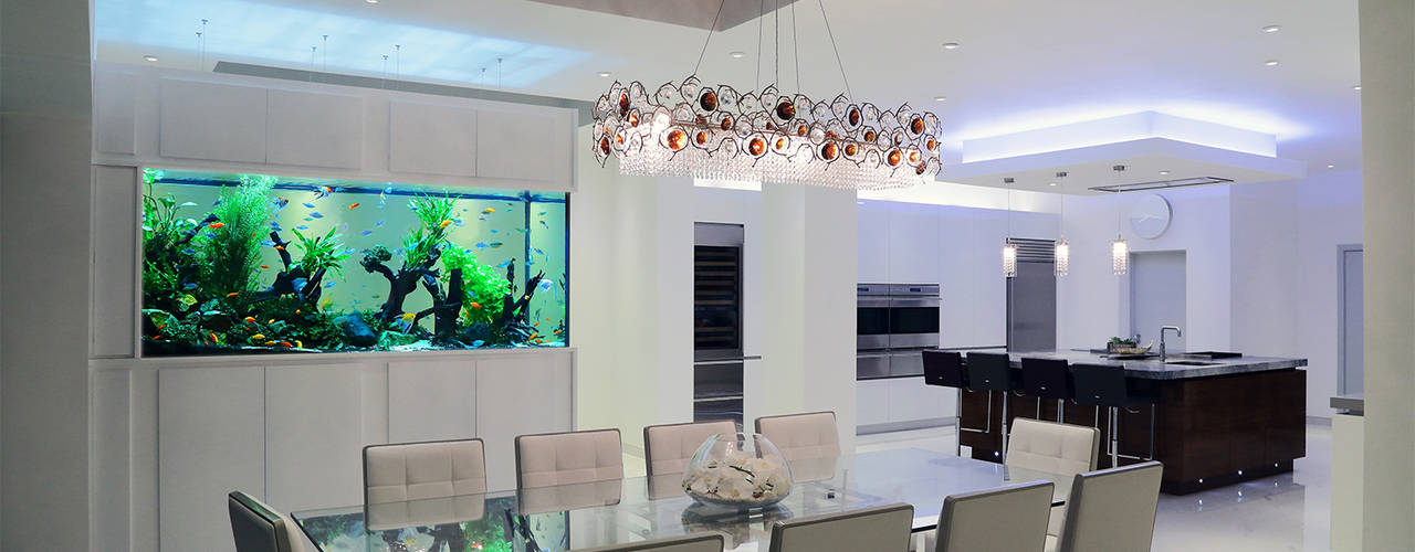 Contemporary Family Home, Aquarium Architecture Aquarium Architecture Modern Yemek Odası