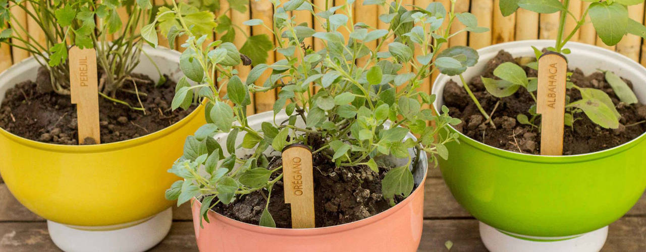 PLANTAS YJARDÍN, Cuantatienda Cuantatienda Varandas, alpendres e terraços modernos