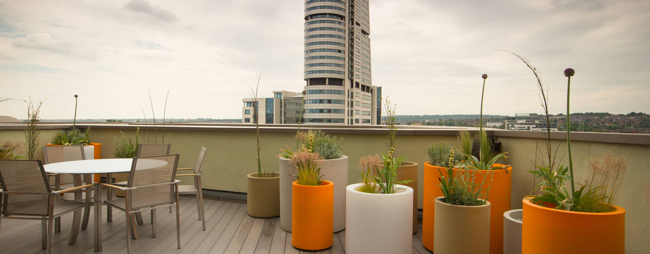 Vibrant Roof Terrace, Yorkshire Gardens Yorkshire Gardens モダンデザインの テラス