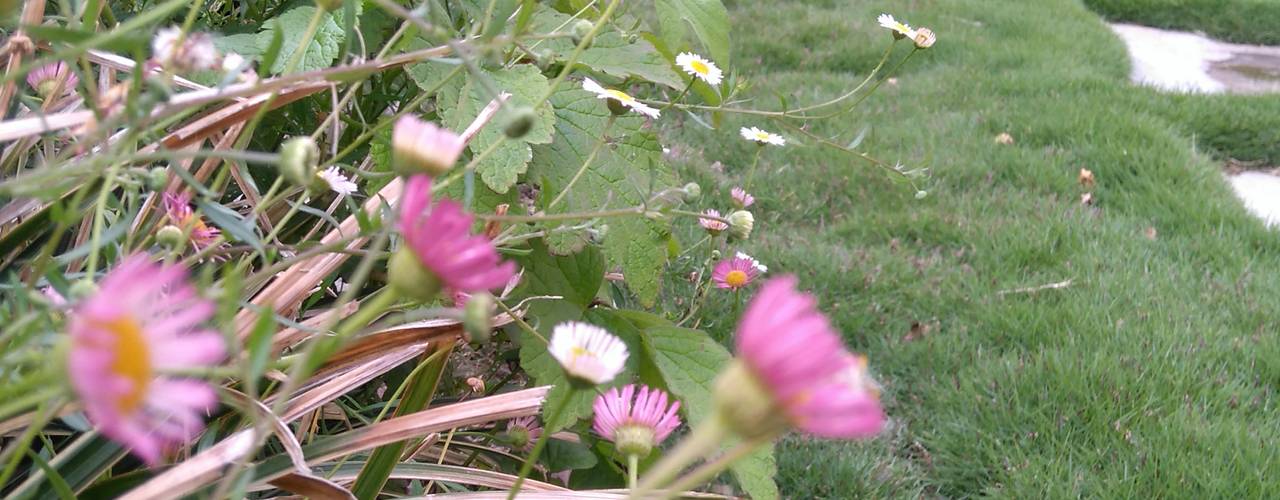 Aménagement d'un jardin ombragé, AEN Paysages AEN Paysages