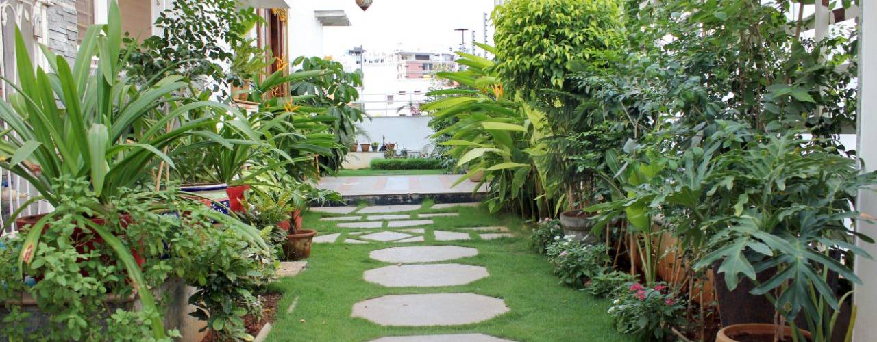 homify Modern style gardens