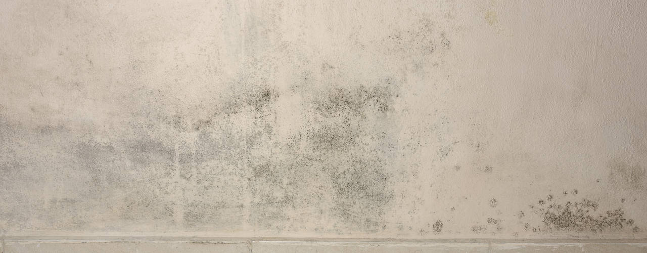 Umidità di risalita: cause e soluzioni Appartamento piano terra umidità