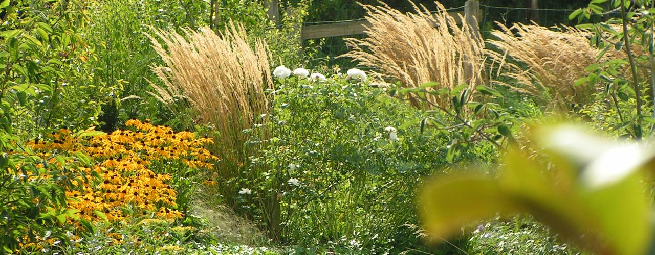 Gräser im Garten Ein Überblick über Arten, Pflege und Gestaltung homify