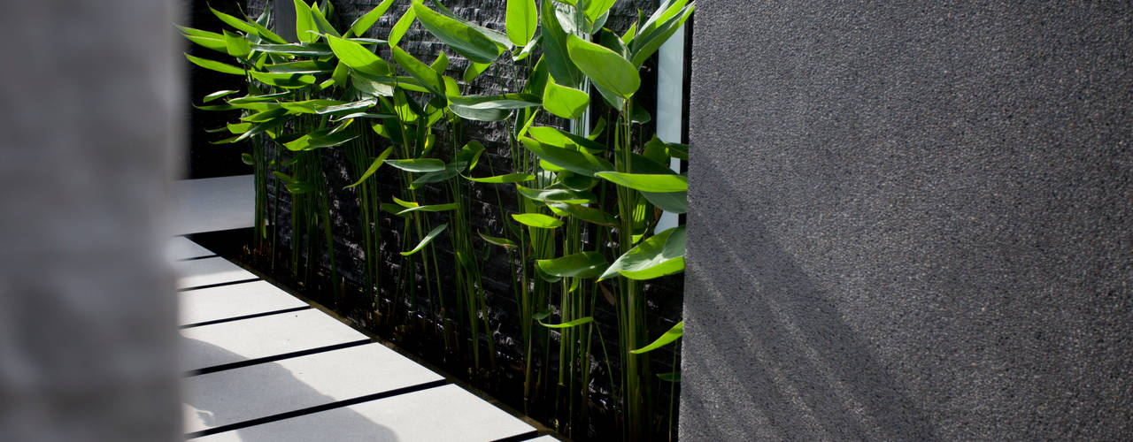 心靈會館, Zendo 深度空間設計 Zendo 深度空間設計 Jardines de estilo minimalista