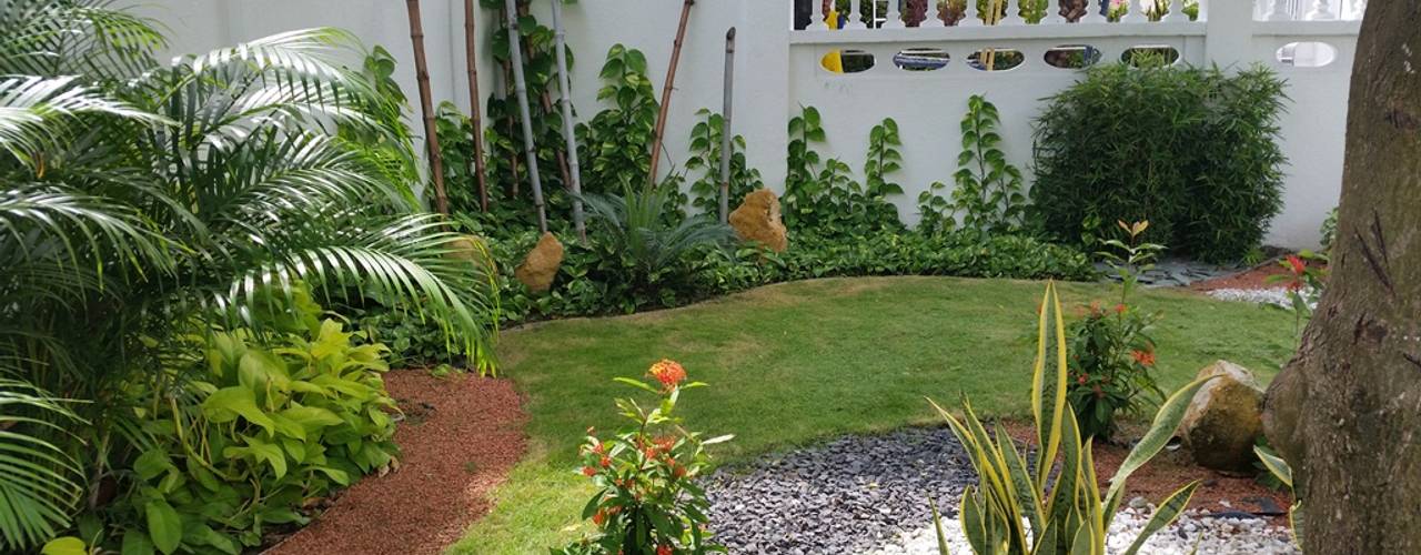 homify Jardines tropicales