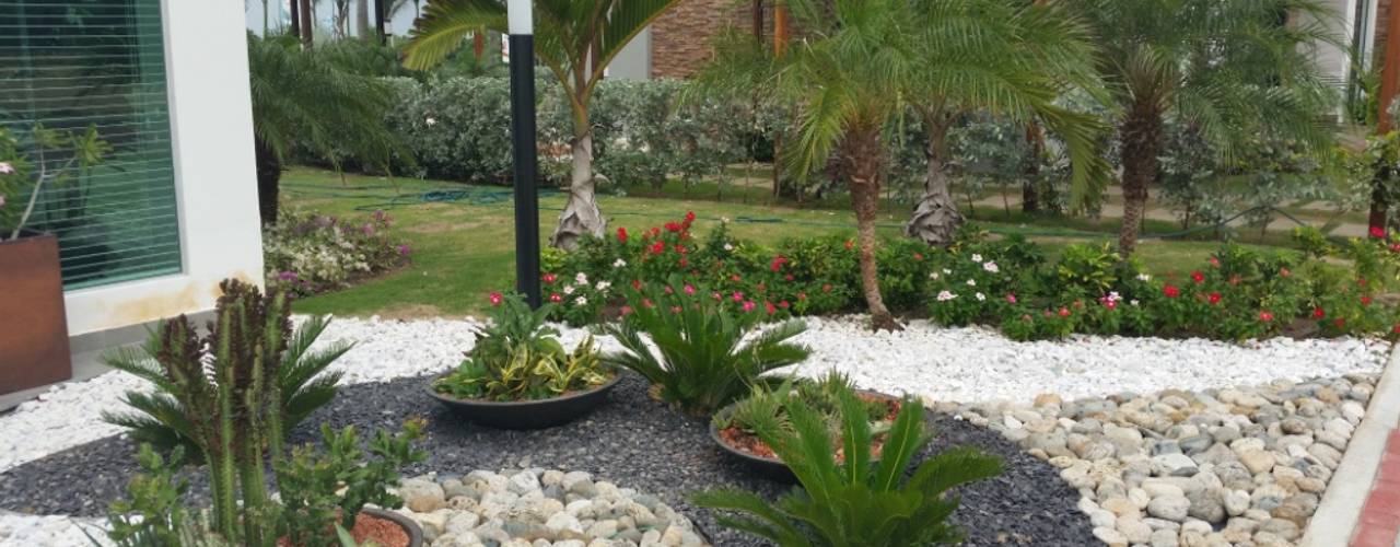 homify Tropical style garden