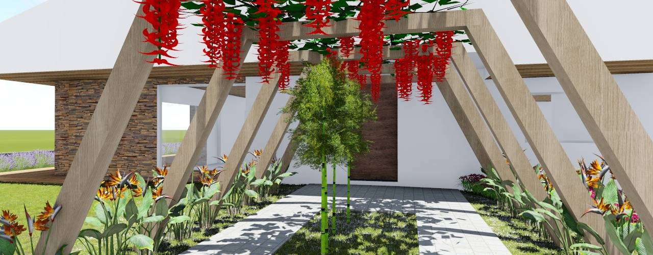 Jardín vertical: las mejores plantas para crear un espacio maravilloso -  Información