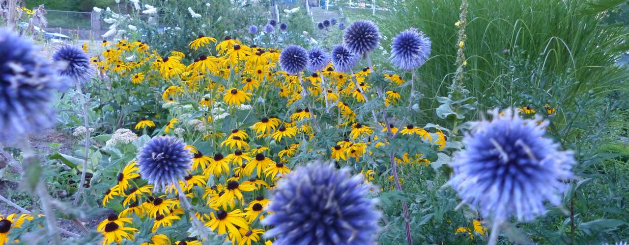 Wie Sieht Ein Schoner Garten Aus