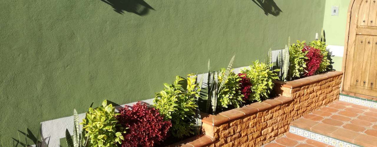 Jardineras para interior y exterior: ¡encuentra el estilo perfecto!