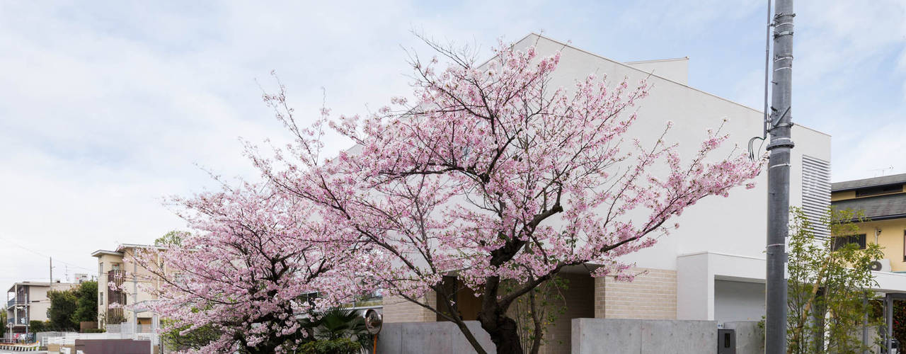 桜と暮らす家, Kenji Yanagawa Architect and Associates Kenji Yanagawa Architect and Associates Modern houses Concrete