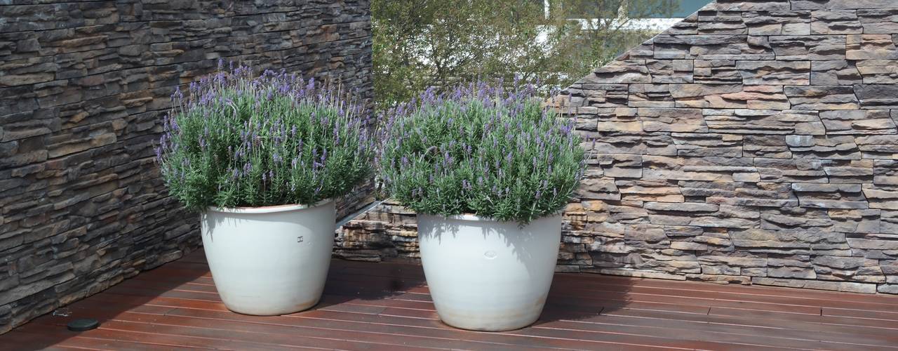 PAISAJE CASA REFUGIO, Verde Lavanda Verde Lavanda Ön avlu Ahşap Ahşap rengi