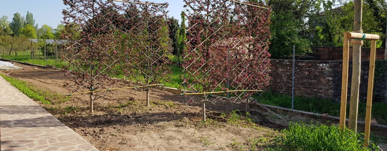 Geometrie in campagna, LUCIA PANZETTA - PAESAGGISTA LUCIA PANZETTA - PAESAGGISTA Vườn phong cách hiện đại