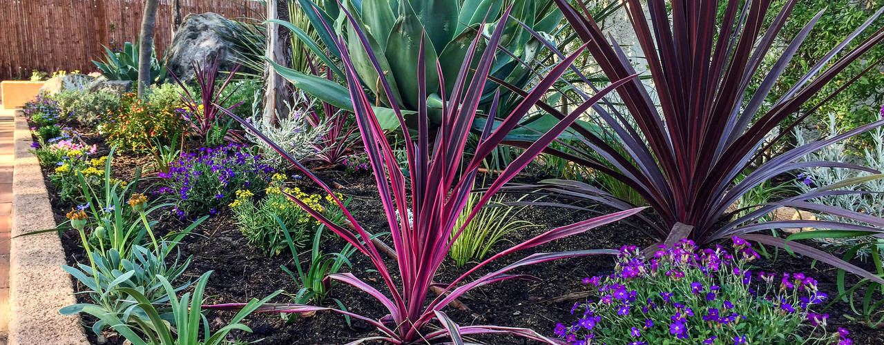 Jardin en La Fosca, Nosaltres Toquem Fusta S.L. Nosaltres Toquem Fusta S.L. Tropical style garden