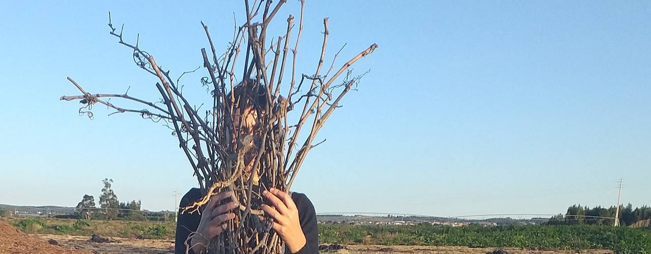 Instalación | Árbol de Navidad, Ana Salomé Branco Ana Salomé Branco