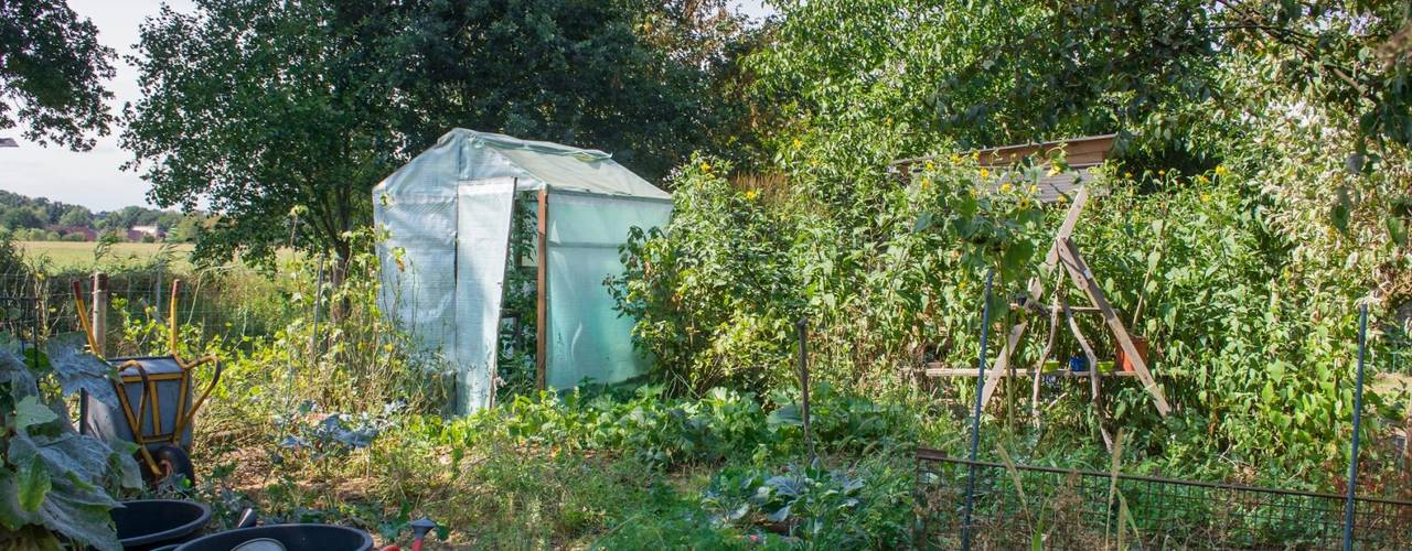Verwilderten Garten neu gestalten in 7 Schritten zum Traumgarten homify