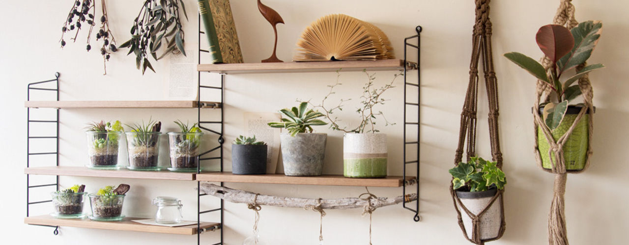 リビングと観葉植物の素敵な関係 homify