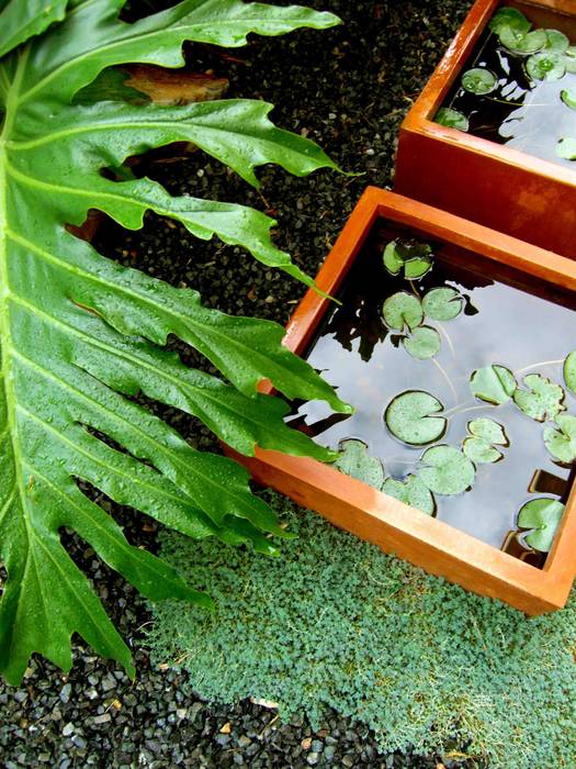 HOATZÍN, Simbiosi Estudi Simbiosi Estudi Jardines de estilo moderno