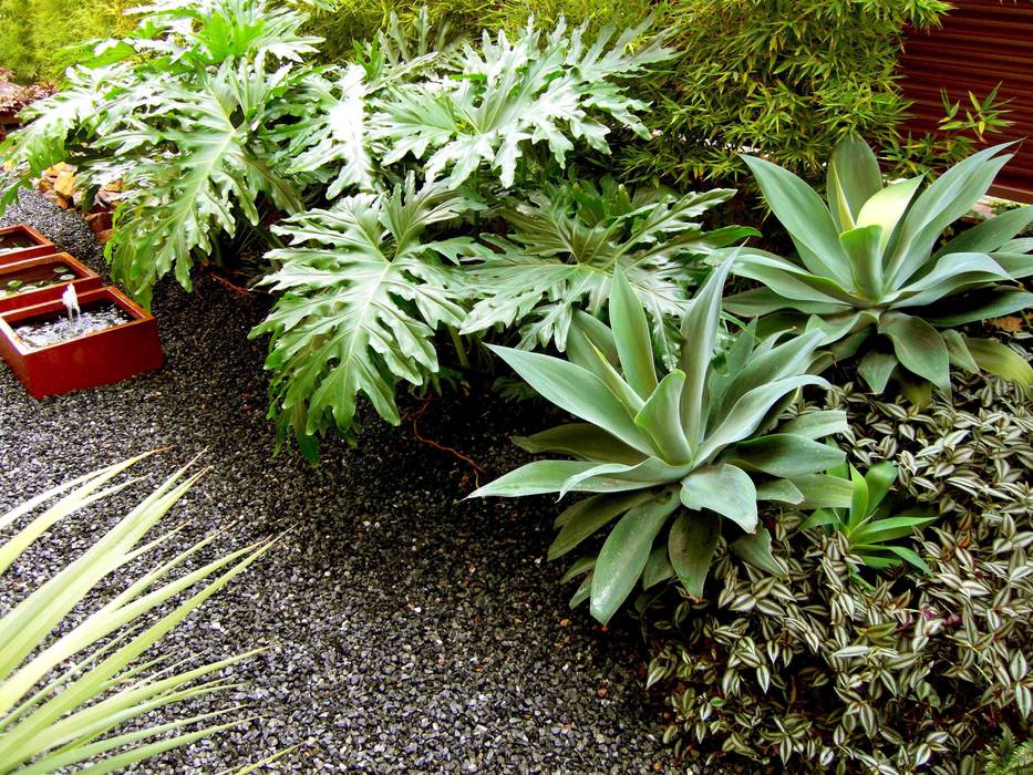 HOATZÍN, Simbiosi Estudi Simbiosi Estudi Jardines modernos: Ideas, imágenes y decoración