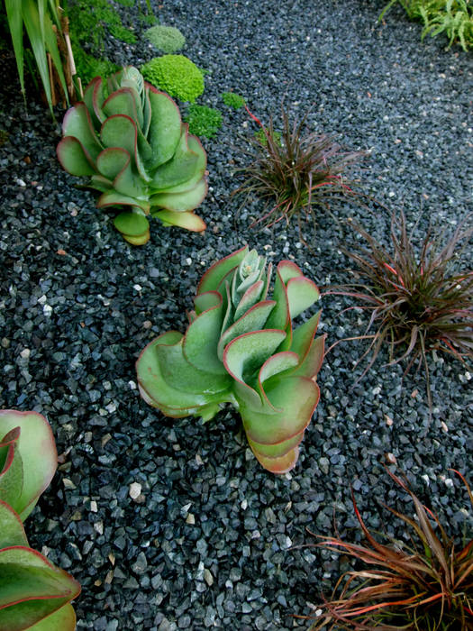 Detalles, Simbiosi Estudi Simbiosi Estudi Jardines modernos