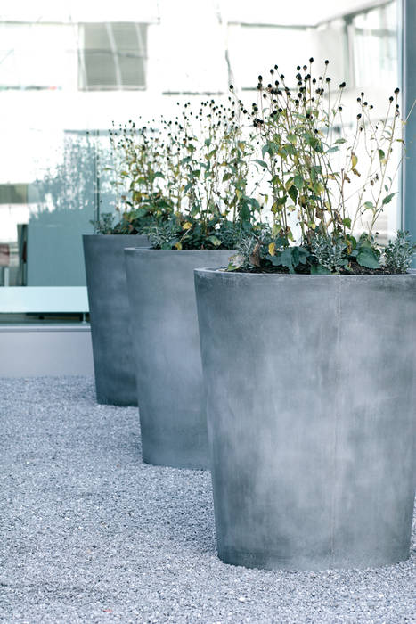 pato Concrete Rudolph GmbH Balcones y terrazas modernos Plantas y flores