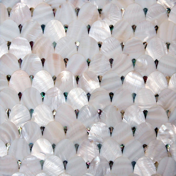 Freshwater Mother of Pearl with Paua Shell ShellShock Designs Modern walls & floors Tiles