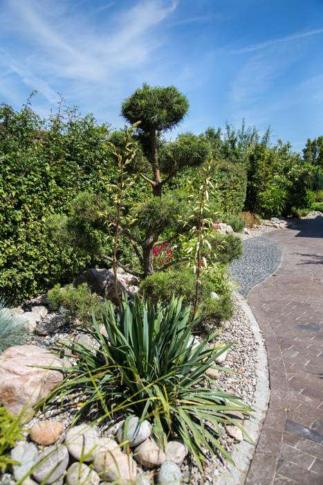 Gartenbonsai, Oswald Gärten Oswald Gärten حديقة صخرية