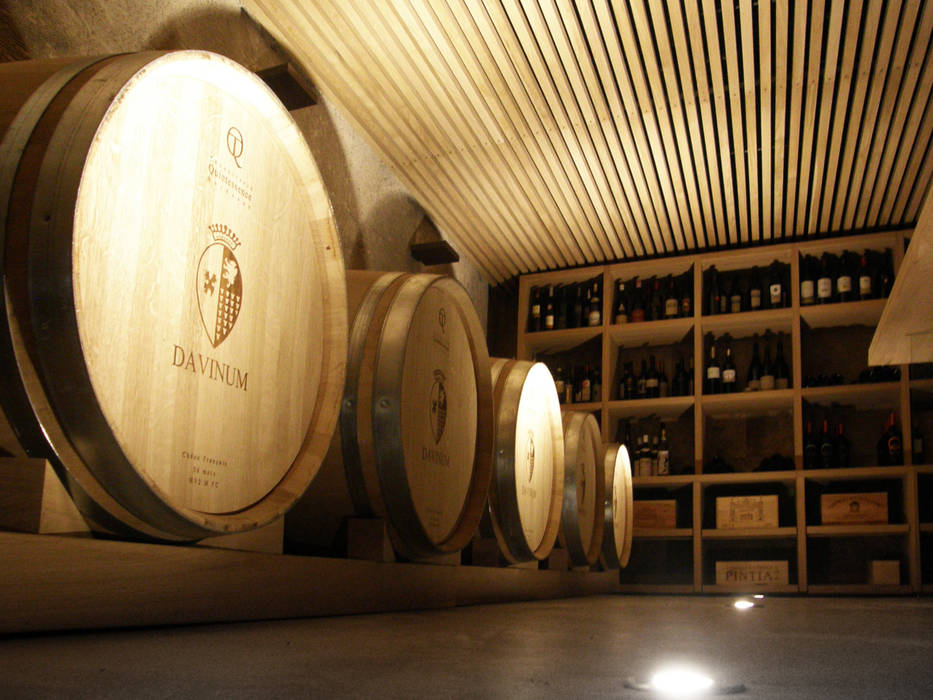 DAVINUM_room for wine tasting., msplus architettura msplus architettura Cantina moderna