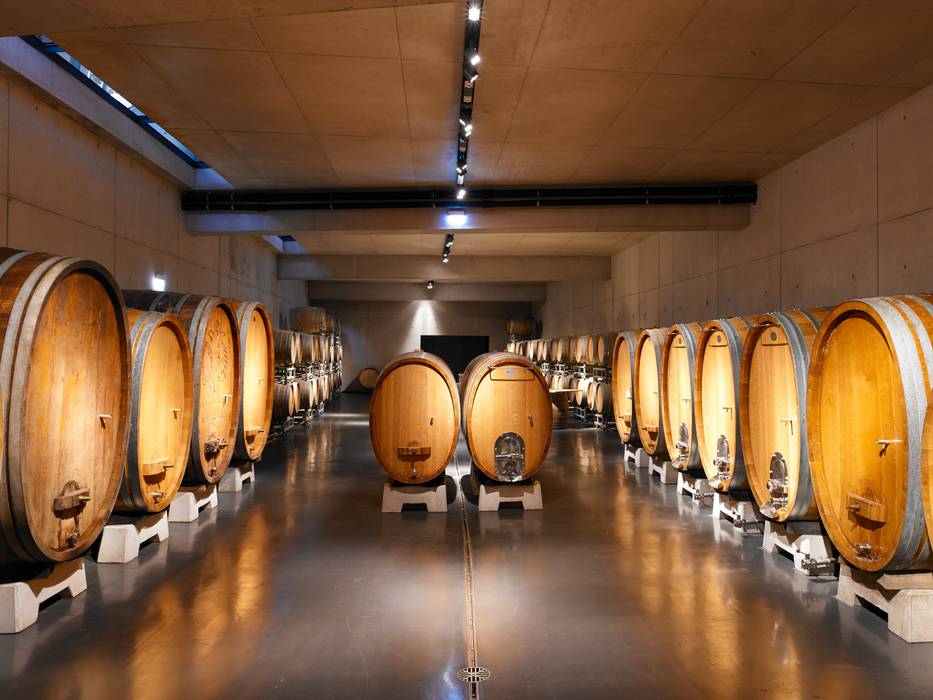 Vineyard Franz Keller - nominee for the German Lighting Design Prize 2014, Tobias Link Lichtplanung Tobias Link Lichtplanung Ruang Penyimpanan Wine/Anggur Modern