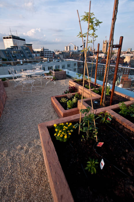 Victoria 2, London Urban Roof Gardens Modern balcony, veranda & terrace