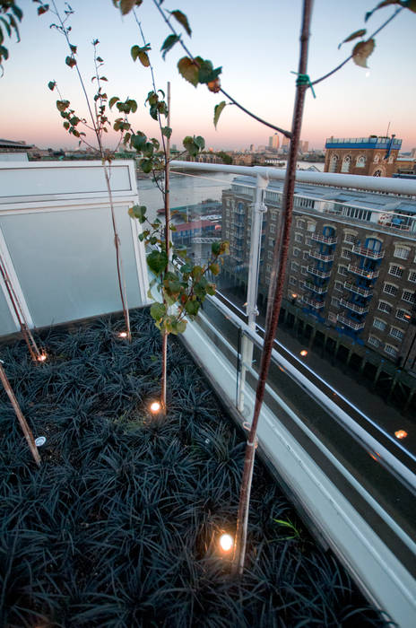 Southbank, London Urban Roof Gardens Modern balcony, veranda & terrace