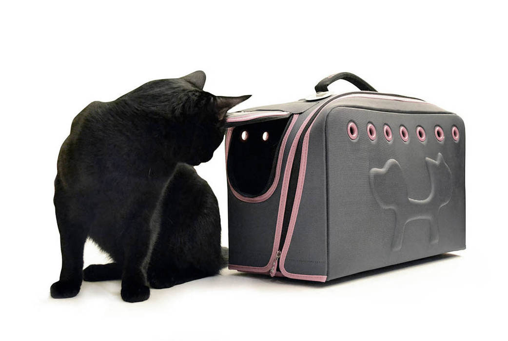 Carry me, ildoppiosegno ildoppiosegno Other spaces Pet accessories