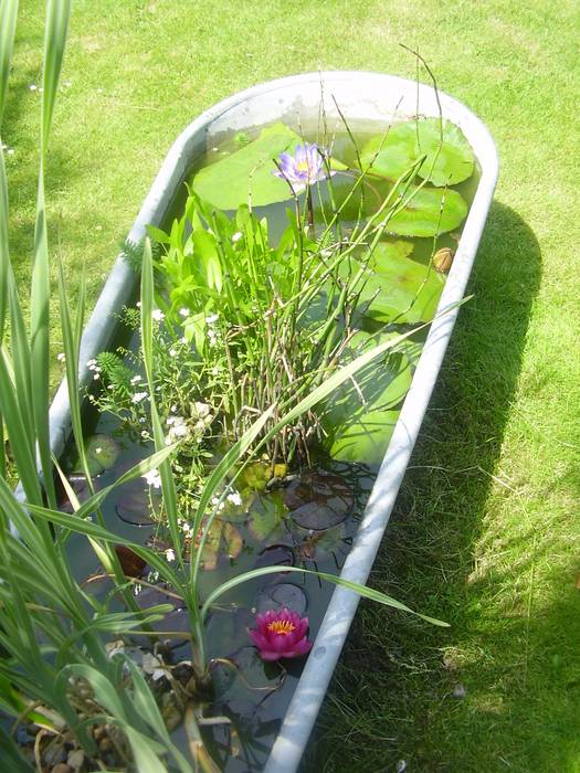 alte Zinkbadewanne homify Ausgefallener Garten Pflanzen und Blumen