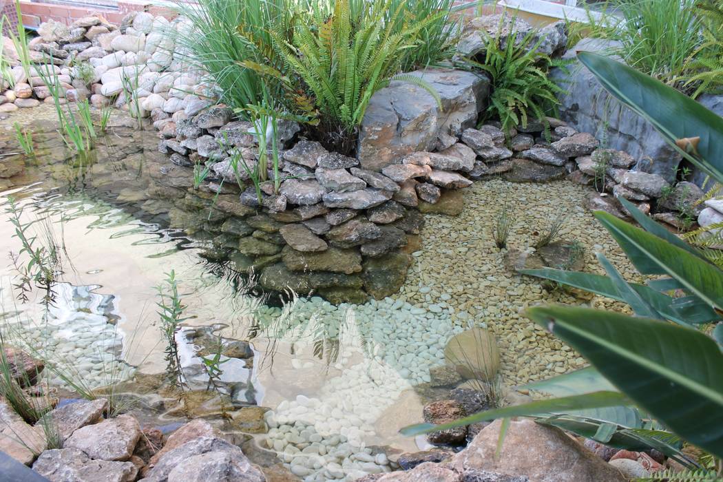 ESTANQUES BIOLÓGICOS- NATURALES, VIVSA. VIVIENDA SANA VIVSA. VIVIENDA SANA Piscina