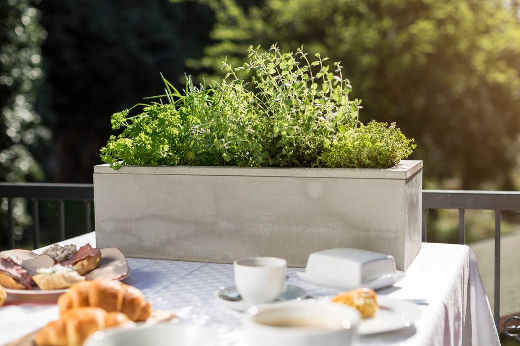 Hellgrauer Quader aus dem nachhaltigen Werkstoff Beton setzt Kräuter ins rechte Licht BETONIU GmbH Modern Garden Plant pots & vases