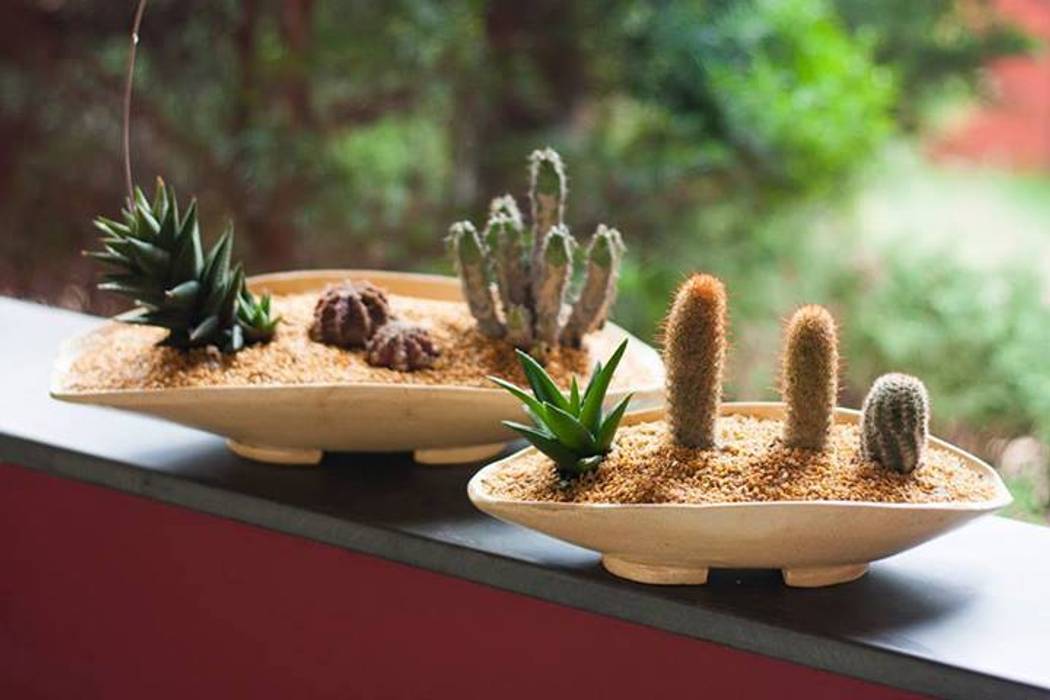 Mini-Jardins , Luiza Soares - Paisagismo Luiza Soares - Paisagismo Minimalist style garden Plant pots & vases