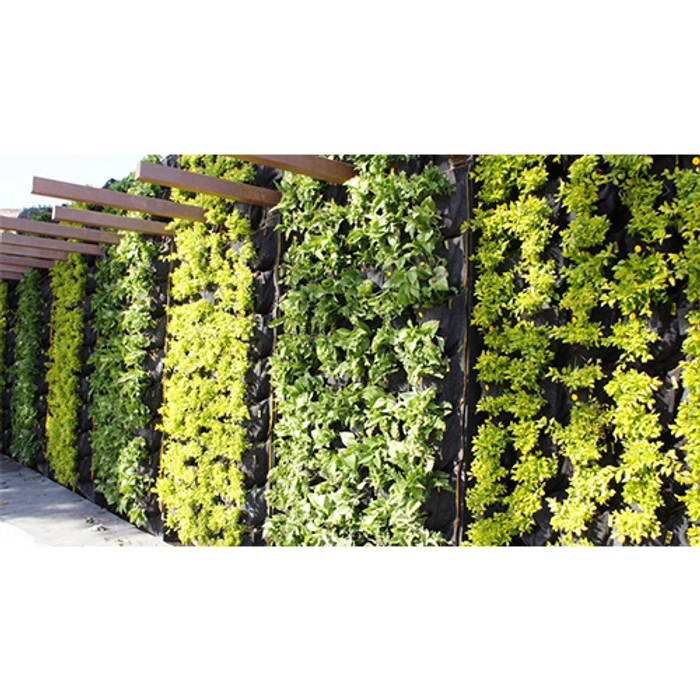 Green walls CONILLAS - exteriors Mediterranean style garden Accessories & decoration