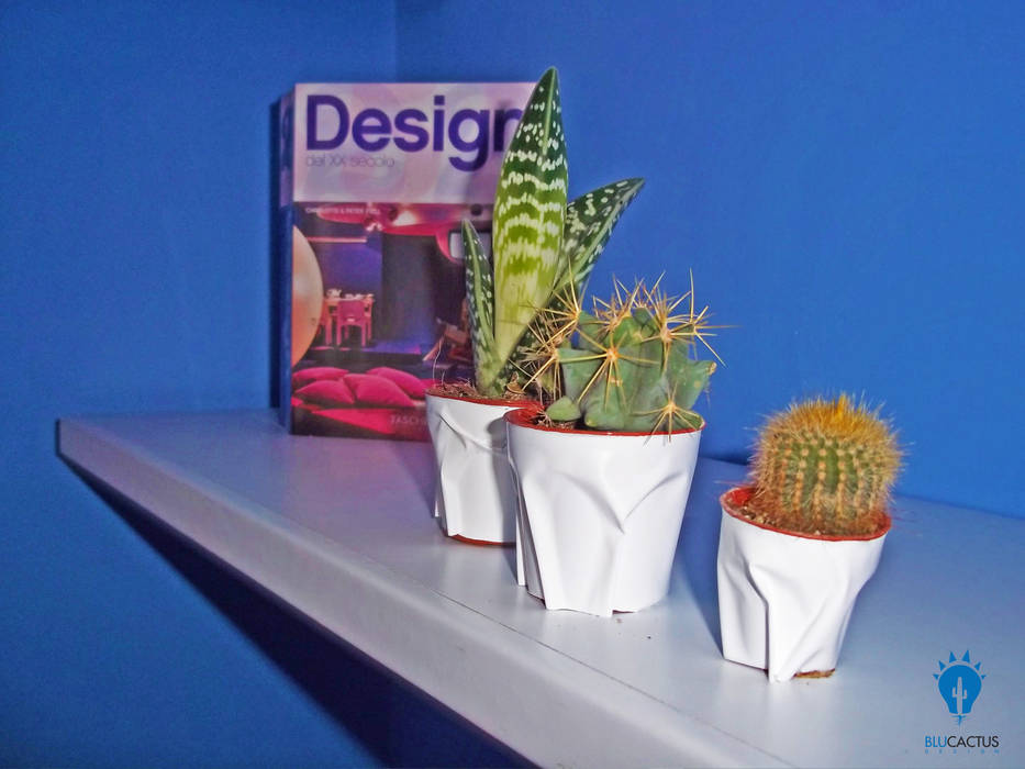 BluCACTUS design-Studio, blucactus design Studio blucactus design Studio Studio eclettico