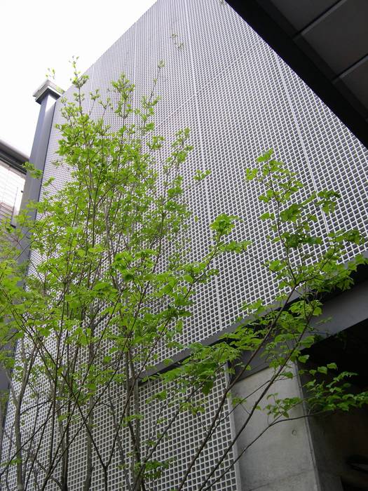 空を臨む家, 原 空間工作所 HARA Urban Space Factory 原 空間工作所 HARA Urban Space Factory Modern garden Fencing & walls