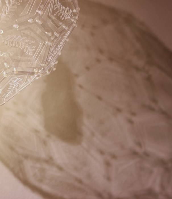 Floralibus Crystal, Andrea Nani Design Andrea Nani Design Phòng khách phong cách tối giản Lighting