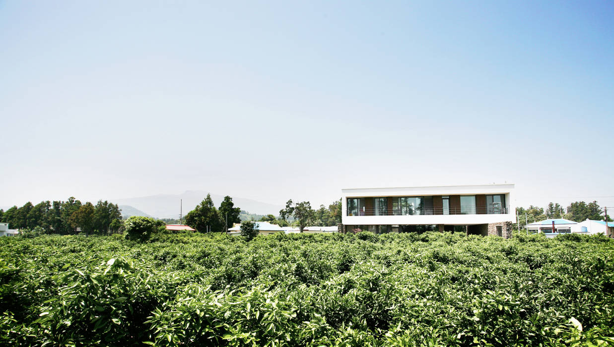 STONE WALL HOUSE 제주 돌담집, HBA-rchitects HBA-rchitects Rumah Modern