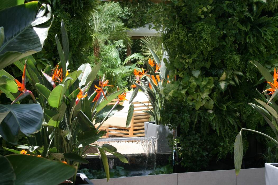 Garden design, DB design DB design Jardin moderne