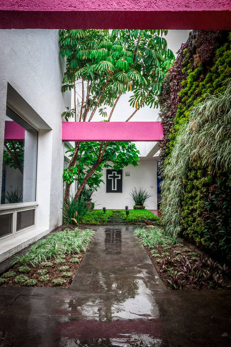 Urban Landscape Eclectic style garden