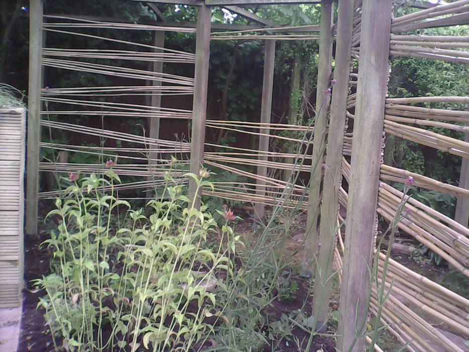 pea cane fencing SD GARDEN DESIGNS Minimalist style garden Plants & flowers