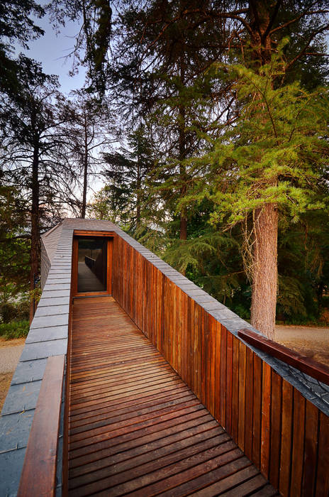 TREE SNAKE HOUSES, RA\\ Rebelo de Andrade RA\\ Rebelo de Andrade Espaços comerciais Hotéis