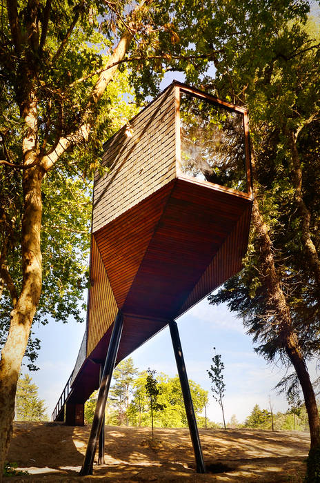 TREE SNAKE HOUSES, RA\\ Rebelo de Andrade RA\\ Rebelo de Andrade Ticari alanlar Oteller