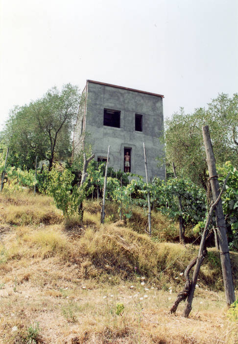 Una casa sulla vigna, auge architetti auge architetti Maisons